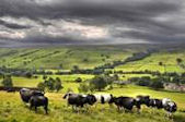 Green Yorkshire Dales